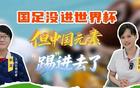 海林观察 | 国足没进世界杯，但中国元素“踢”进去了