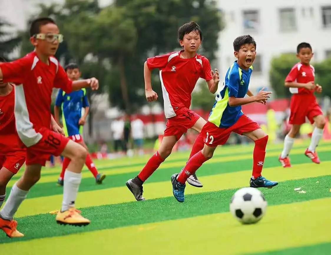 塞内加尔VS伊拉克直播_塞内加尔VS伊拉克免费高清直播在线观看无插件_塞内加尔VS伊拉克直播视频